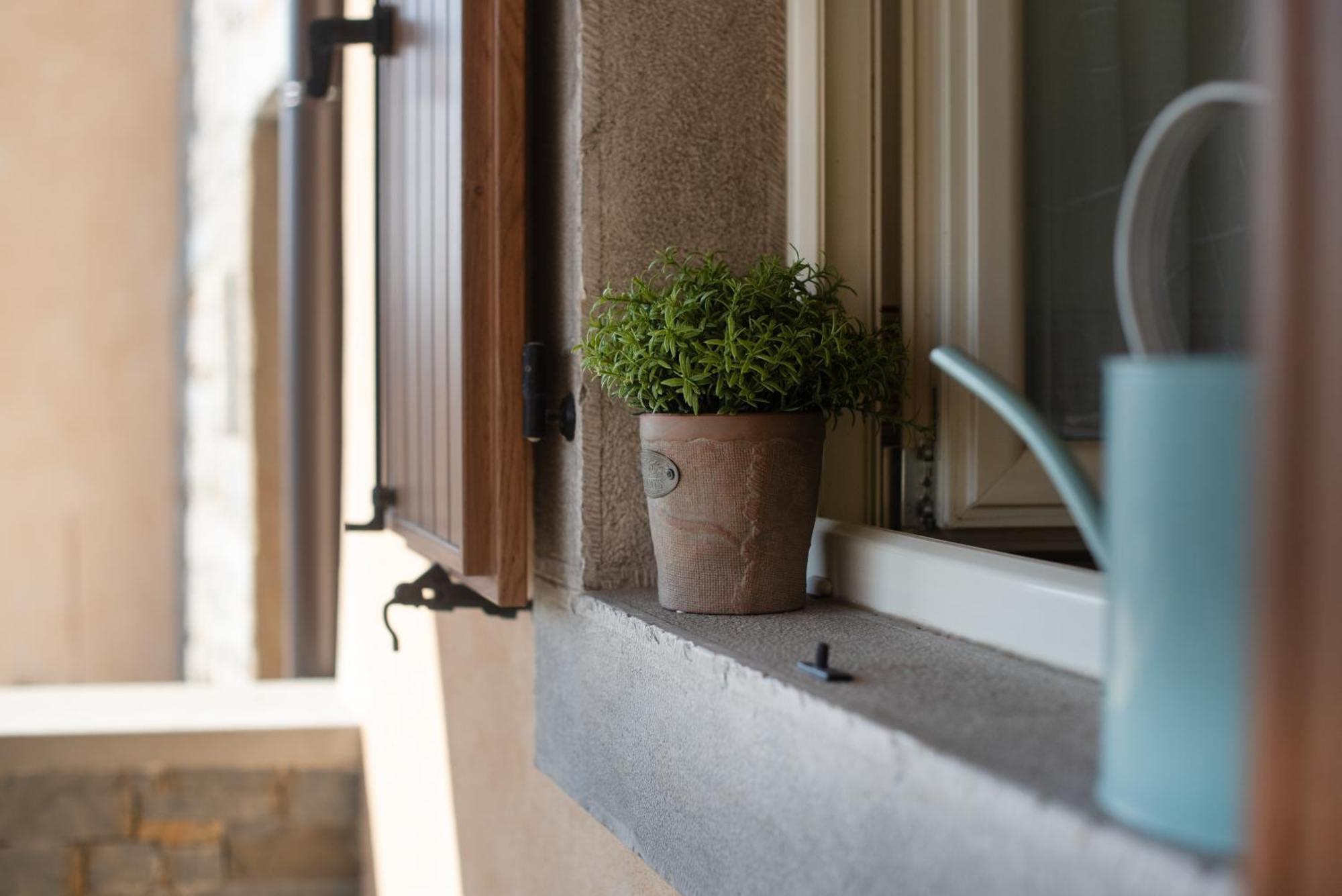 Truffle House Karlic Apartment Бузет Екстериор снимка